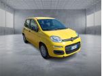 FIAT Panda 3ª serie  1.0 FireFly S&S Hybrid Pop rif. 23764342