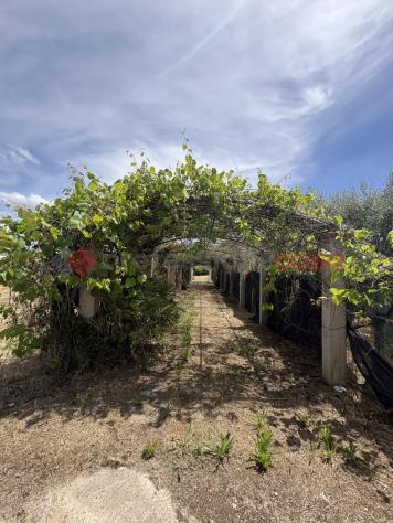 Casa Indipendente - Terracina . Rif.: Cod. rif 3317724VRG - Foto 6