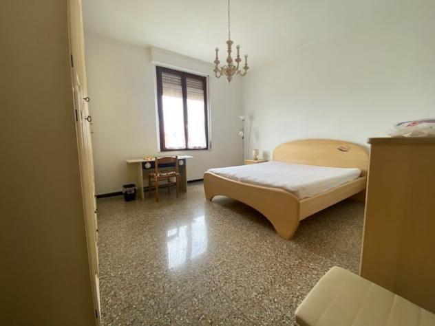 Stanza in appartamento in affitto a Siena