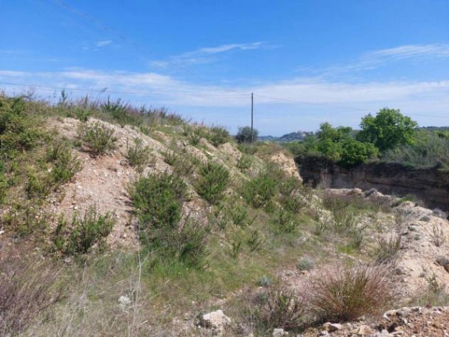 Immobile in asta di 17220 m² in vendita a Ortona - Foto 10