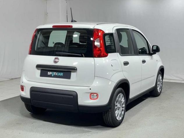 rif. 23779197 - Foto 5