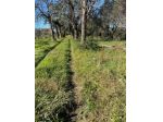 Colonica in vendita a Sarzana 150 mq  Rif: 1296856