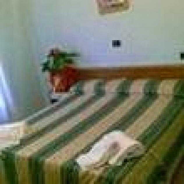 Albergo Ave di Giovagnola Lara & C. S.a.s. - Foto 3