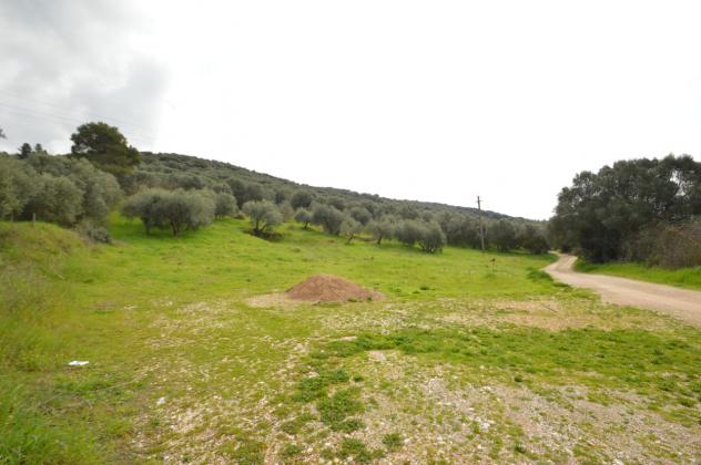 Porzione di casa in vendita a Grosseto - Foto 4
