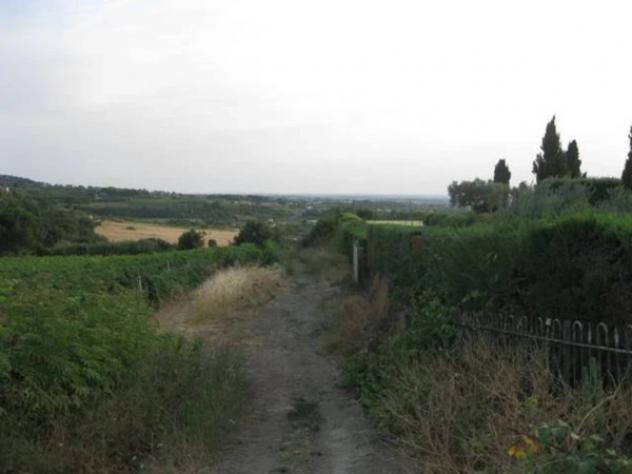 Immobile in asta di 151463 m² in vendita a Grottaferrata - Foto 9