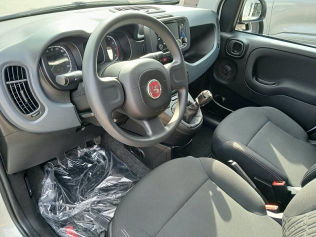 FIAT Panda 3ª serie Panda 1.0 FireFly S&S Hybrid - Foto 6
