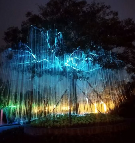 Illuminazione Decorazione Paesaggistica di Alberi Parchi Atmosfera Festiva - Foto 5