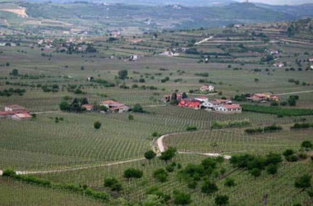 Terreno a Soave - Rif. 6300