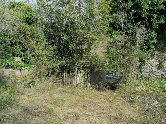 Agricolo in Contrada Puglisi - Foto 15
