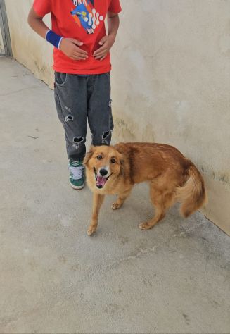 Stefi: 2 anni taglia contenuta - Foto 3