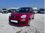 FIAT Panda 1.0 70cv Hybrid Panda