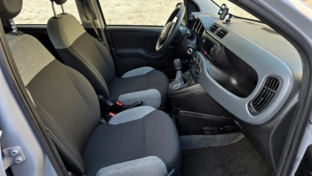 Fiat Panda HYBRID 1.0 FireFly 70CV S&S - Foto 7