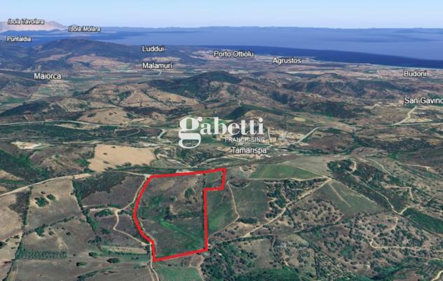Terreno Residenziale - Budoni . Rif.: Cod. rif 3261193VRG - Foto 17