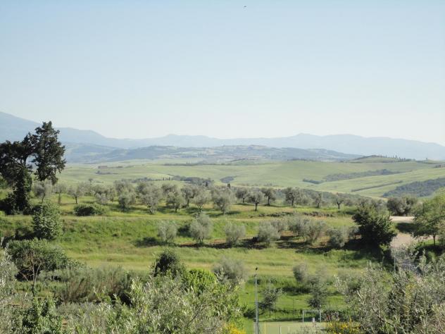 Villa in vendita a Montalcino - Foto 4