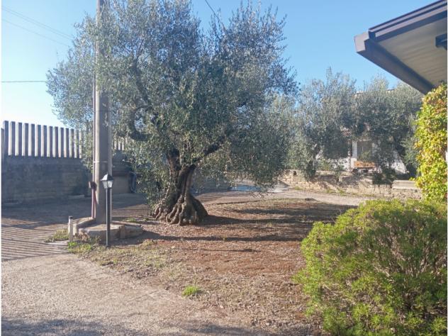 Villa in Via Riserva della Bandita - Foto 17