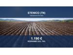 Immobile in asta di 2711 m² in vendita a Stenico