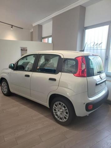 FIAT Pandina 1.0 FireFly 65 CV Hybrid Icon rif. 24059839 - Foto 7