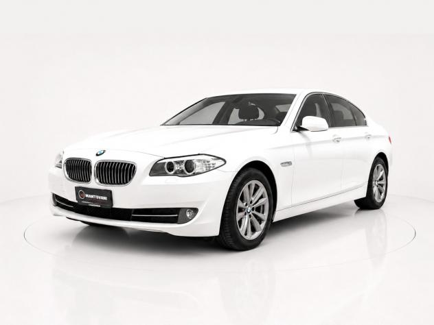 BMW Serie 5 520d Futura