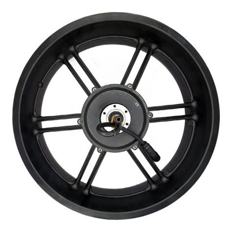 Cerchio Posteriore con Motore Originale Engwe per E-Bike Engwe Engine Pro 2.0