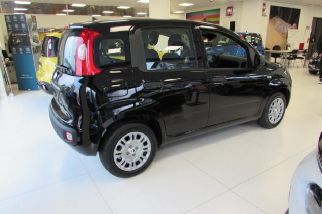 FIAT Panda 1.0 FireFly 70cv S&S Hybrid ICON KMZERO rif. 23795595 - Foto 3
