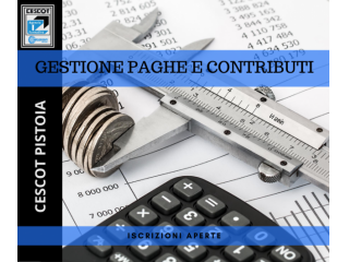 GESTIONE DI PAGHE E CONTRIBUTI