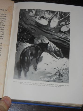 WHITE FANG (ZANNA BIANCA), JACK LONDON, METHUEN & CO. LTD. London 1928. - Foto 7