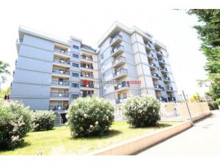 Appartamento - Foggia . Rif.: Cod. rif 3322757ARG