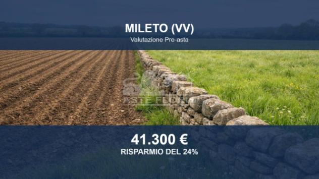 Immobile in asta di 10802 m² in vendita a Mileto