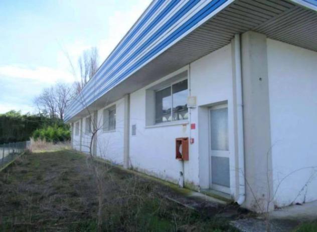 Immobile in asta di 785 m² in vendita a Pramaggiore - Foto 5