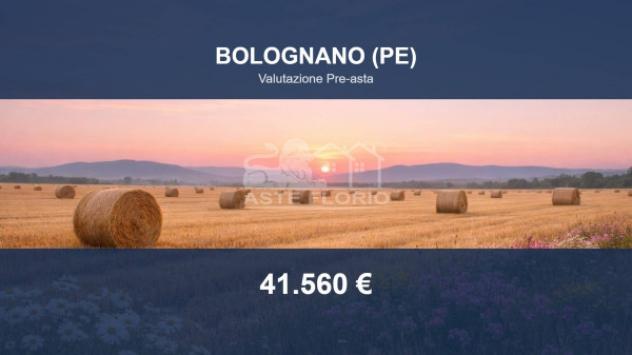 Immobile in asta di 160063 m² in vendita a Bolognano
