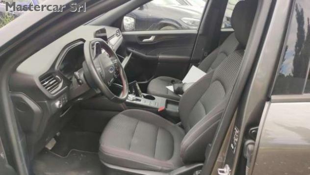 FORD Kuga Kuga 2.5 full hybrid ST-Line 2wd 190cv FHEV Co-Pil rif. 24073531 - Foto 5