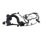 Cablaggio Porta Anteriore Destra Renault Zoe 241254432R - 31674