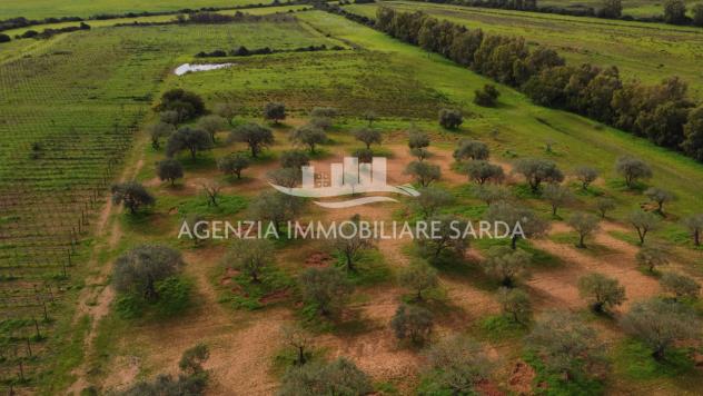 Terreno edificabile in vendita a Alghero - Foto 8