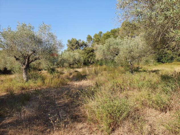 Terreno in vendita a Caltagirone, Santo Pietro - Foto 3