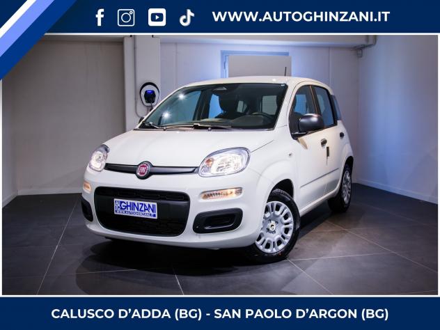 FIAT Panda Panda 1.0 FireFly S&S Hybrid Icon - "PREZZO VERO"