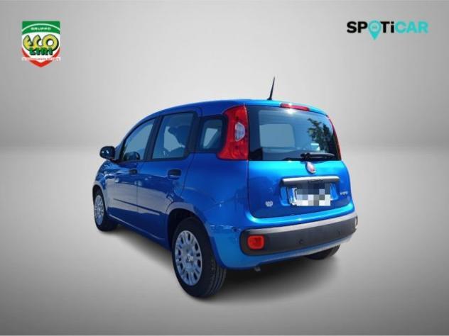 FIAT Panda 1.0 FireFly S&S Hybrid+GPL rif. 24175669 - Foto 7