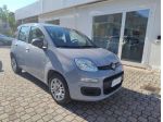 FIAT - Panda - 1.2 Easy