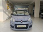 FIAT Panda 1.0 FireFly S&S Hybrid da €119,00 mensili  rif. 22763516
