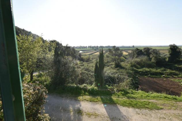 Terratetto in vendita a Filettole - Vecchiano 175 mq Rif: 1309103 - Foto 4