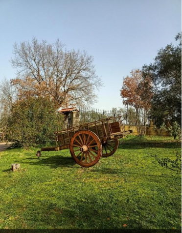 Casa vacanze Rifugio di Campagna Vitorchiano - Foto 9