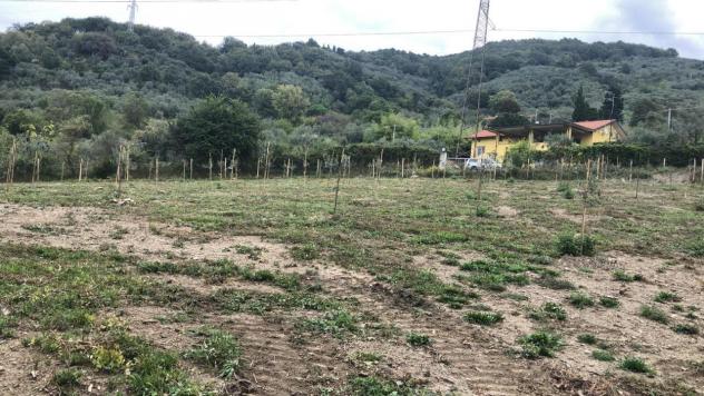 Appartamento in vendita a Castelnuovo Magra - Foto 6