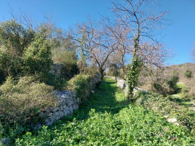 Terreno in vendita a Modica - Foto 4