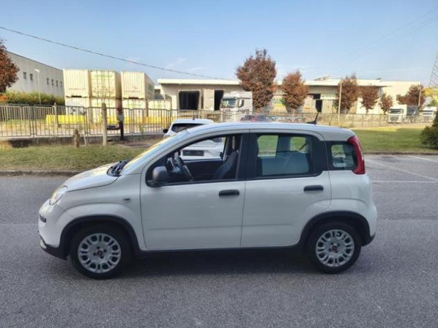 FIAT Panda 1.0 Hybrid City Life NEOPATENTATI rif. 24194967 - Foto 6