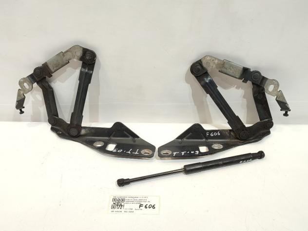 CERNIERE COFANO ANTERIORE DX E SX AUDI TT Serie (8J3) 8J0823301H 8J0823302H CDAA (0614)