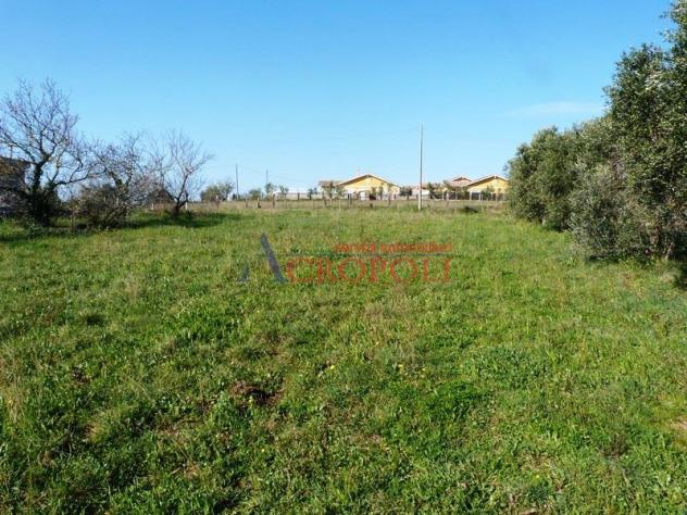 Terreno Edificabile - Rif. 2489 - Foto 11