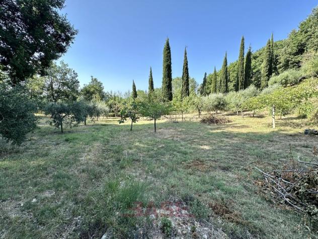 Terreno edificabile in vendita a Casale Marittimo - Foto 15