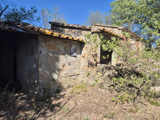 Rustico in vendita a Cinigiano - Foto 3