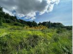 Terreno agricolo in vendita a Acciaiolo - Fauglia 8000 mq  Rif: 1270993