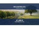 Immobile in asta di 83944 m² in vendita a Belcastro