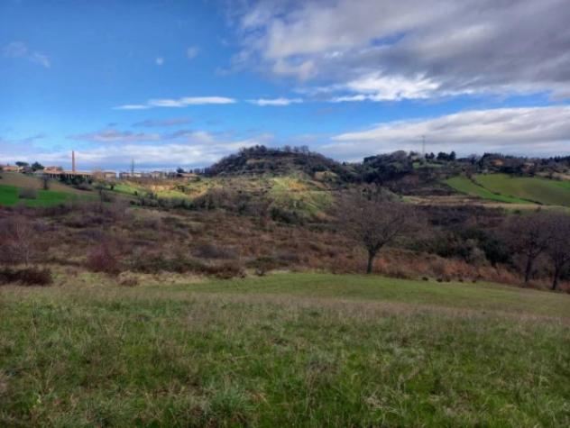 Immobile in asta di 70754 m² in vendita a Terre Roveresche - Foto 4